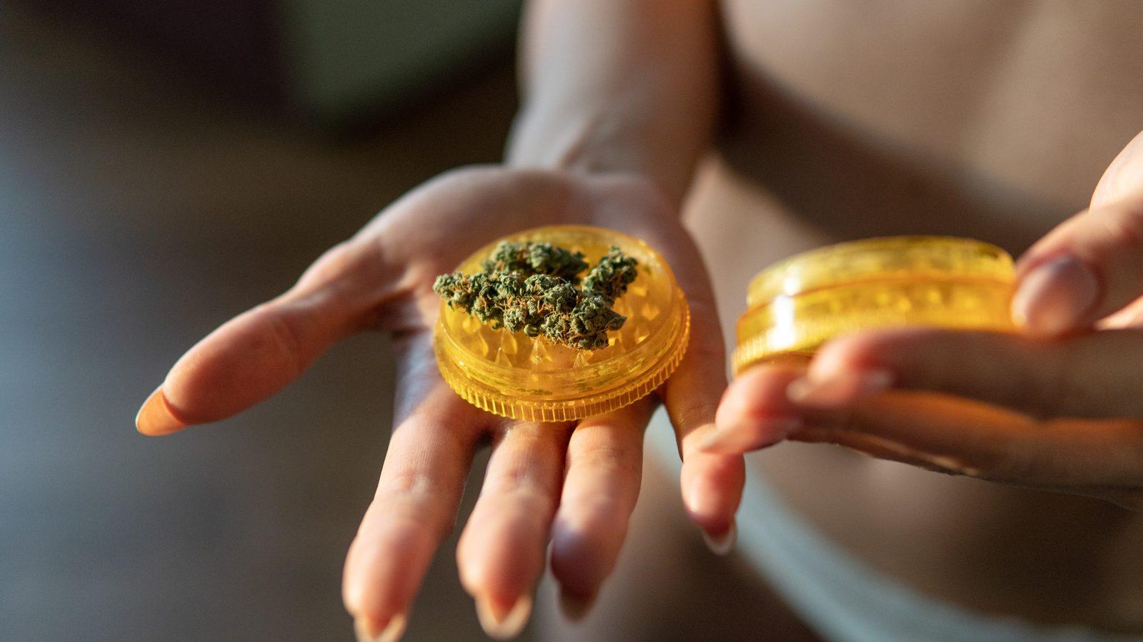Person holding grinder filled with herbs