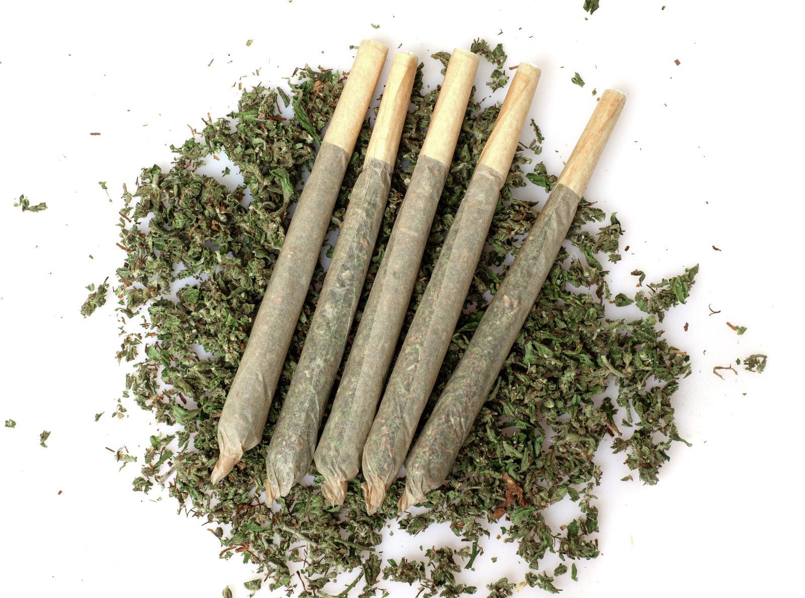 Rolled joints and green herbs on white background
