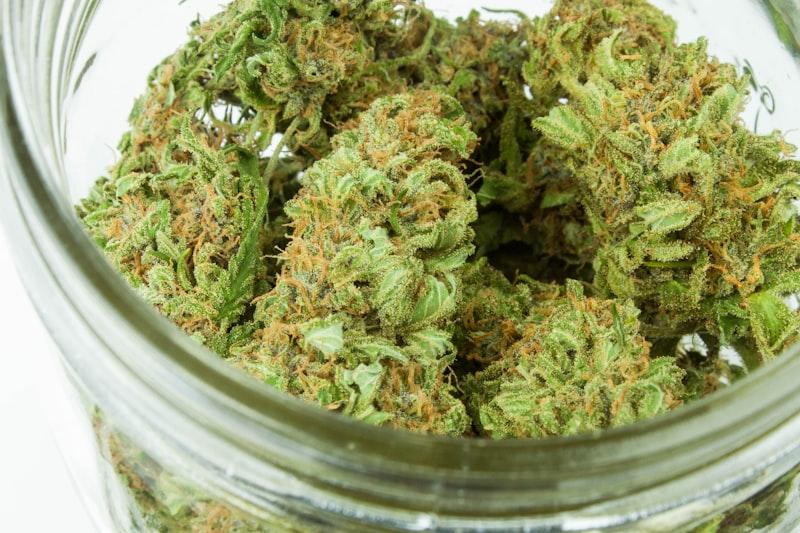 How to Choose the Right Weed Dispensary Near Springfield, MA