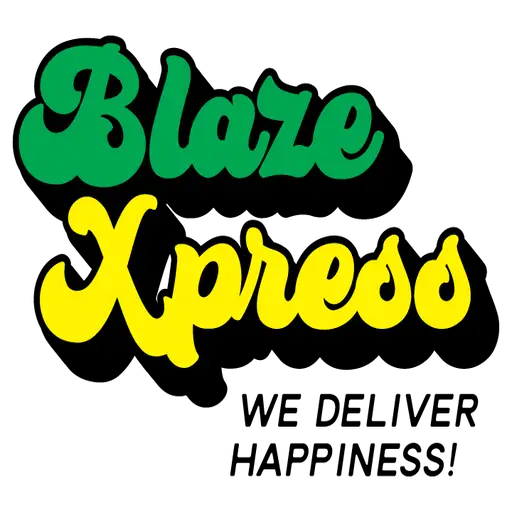 BlazeXpress Favicon