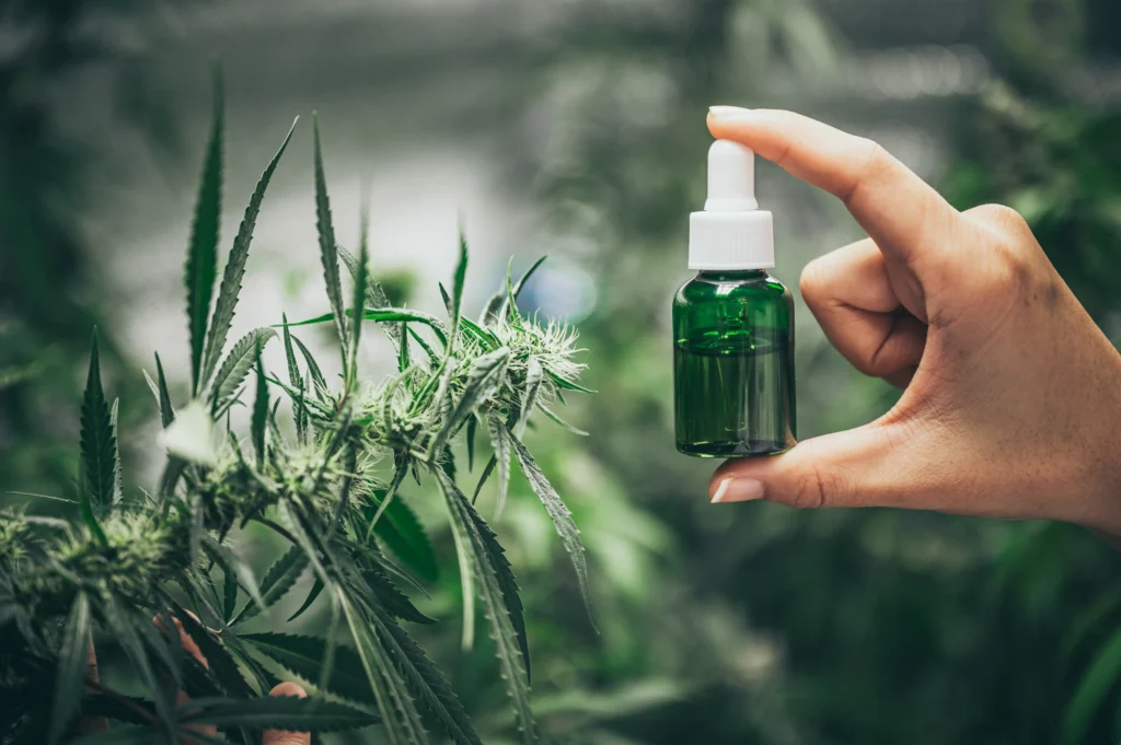 Premium Edibles Delivery Service in Western MA | Blaze Xpress