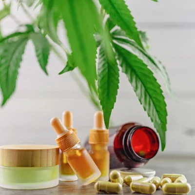 Weed Vaporizers That Fit Your Lifestyle and Effects Needs